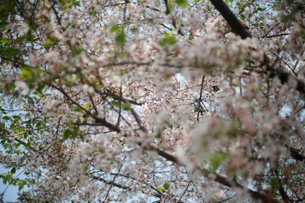 image013.jpg