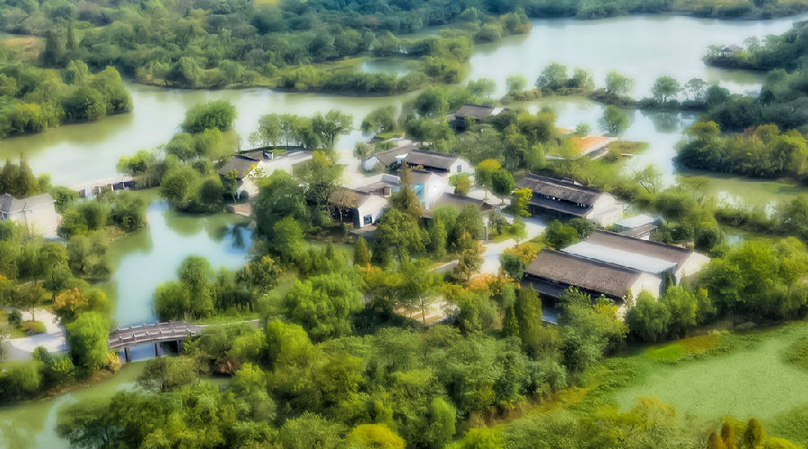 西溪湿地.jpg